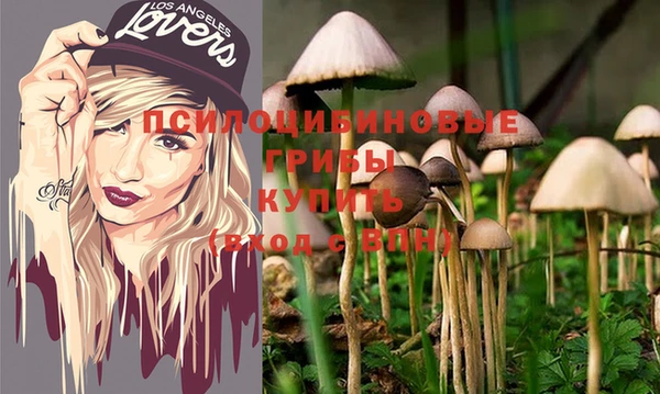марки lsd Аркадак