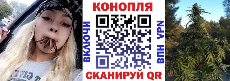 Канабис ГИДРОПОН маркетплейс официальный сайт Салехард купить наркотики цена